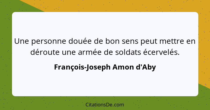 Une personne douée de bon sens peut mettre en déroute une armée de soldats écervelés.... - François-Joseph Amon d'Aby