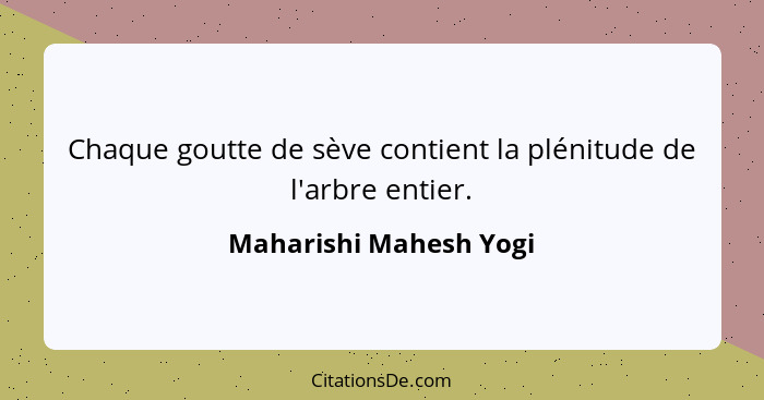 Chaque goutte de sève contient la plénitude de l'arbre entier.... - Maharishi Mahesh Yogi