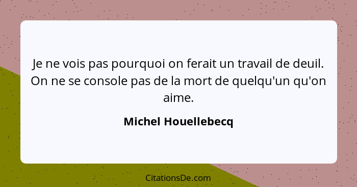 Je ne vois pas pourquoi on ferait un travail de deuil. On ne se console pas de la mort de quelqu'un qu'on aime.... - Michel Houellebecq