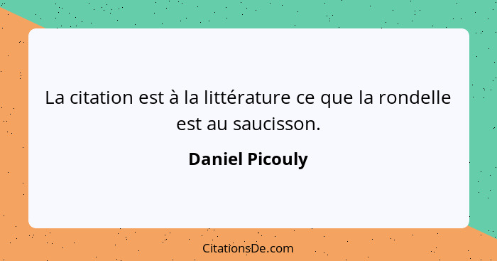 La citation est à la littérature ce que la rondelle est au saucisson.... - Daniel Picouly