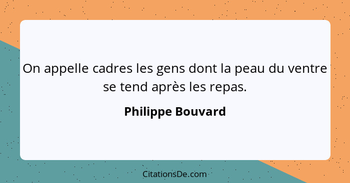 On appelle cadres les gens dont la peau du ventre se tend après les repas.... - Philippe Bouvard