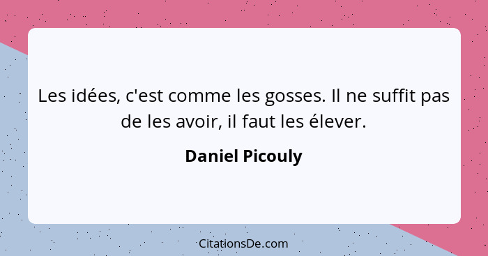 Les idées, c'est comme les gosses. Il ne suffit pas de les avoir, il faut les élever.... - Daniel Picouly