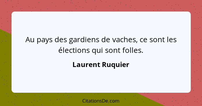 Au pays des gardiens de vaches, ce sont les élections qui sont folles.... - Laurent Ruquier