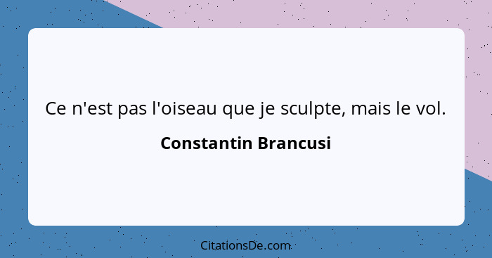 Ce n'est pas l'oiseau que je sculpte, mais le vol.... - Constantin Brancusi