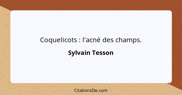 Coquelicots : l'acné des champs.... - Sylvain Tesson