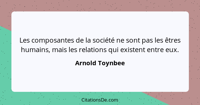 Les composantes de la société ne sont pas les êtres humains, mais les relations qui existent entre eux.... - Arnold Toynbee