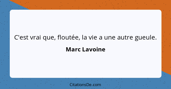 C'est vrai que, floutée, la vie a une autre gueule.... - Marc Lavoine