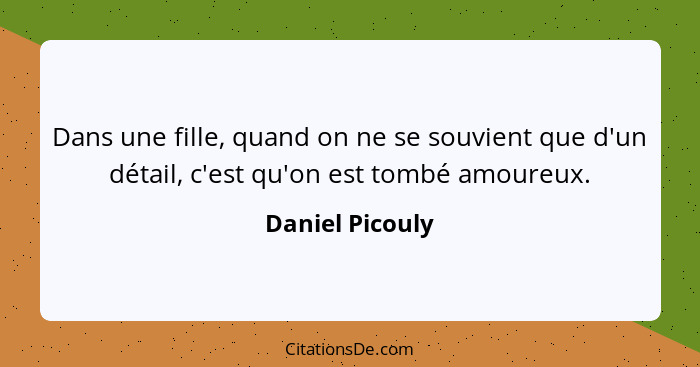 Dans une fille, quand on ne se souvient que d'un détail, c'est qu'on est tombé amoureux.... - Daniel Picouly