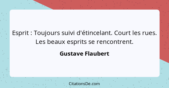 Esprit : Toujours suivi d'étincelant. Court les rues. Les beaux esprits se rencontrent.... - Gustave Flaubert