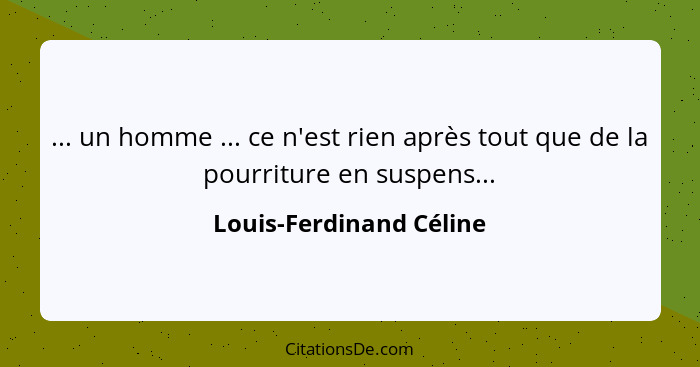 ... un homme ... ce n'est rien après tout que de la pourriture en suspens...... - Louis-Ferdinand Céline