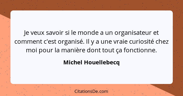 Je veux savoir si le monde a un organisateur et comment c'est organisé. Il y a une vraie curiosité chez moi pour la manière dont... - Michel Houellebecq