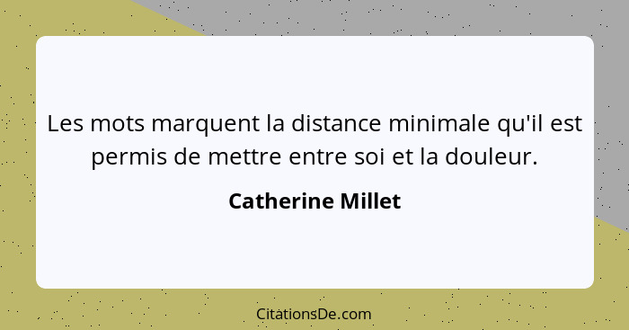 Les mots marquent la distance minimale qu'il est permis de mettre entre soi et la douleur.... - Catherine Millet