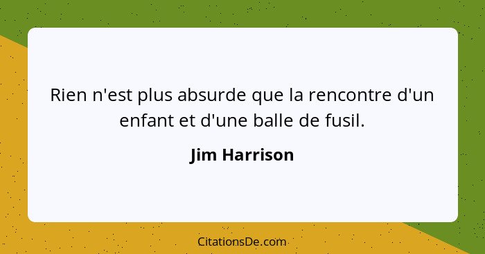 Rien n'est plus absurde que la rencontre d'un enfant et d'une balle de fusil.... - Jim Harrison