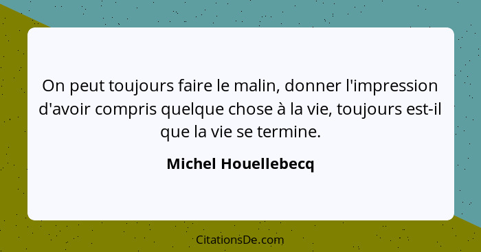 On peut toujours faire le malin, donner l'impression d'avoir compris quelque chose à la vie, toujours est-il que la vie se termin... - Michel Houellebecq