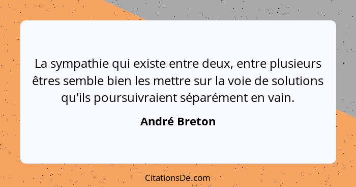 La sympathie qui existe entre deux, entre plusieurs êtres semble bien les mettre sur la voie de solutions qu'ils poursuivraient séparém... - André Breton
