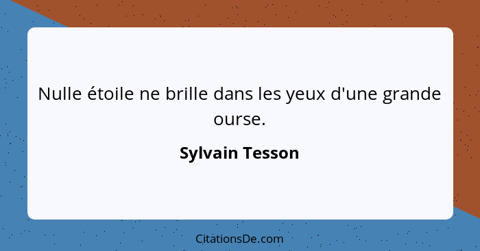 Nulle étoile ne brille dans les yeux d'une grande ourse.... - Sylvain Tesson