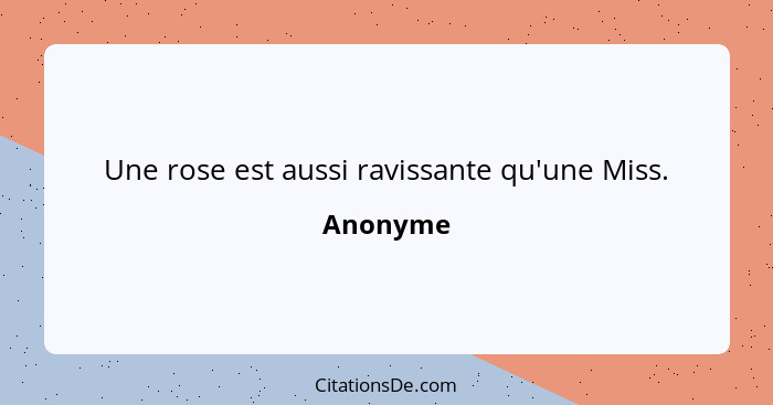 Une rose est aussi ravissante qu'une Miss.... - Anonyme