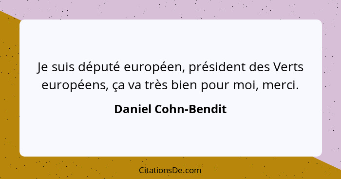 Je suis député européen, président des Verts européens, ça va très bien pour moi, merci.... - Daniel Cohn-Bendit