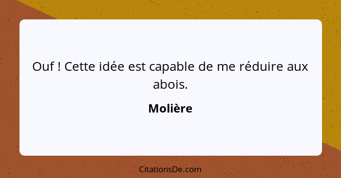 Ouf ! Cette idée est capable de me réduire aux abois.... - Molière