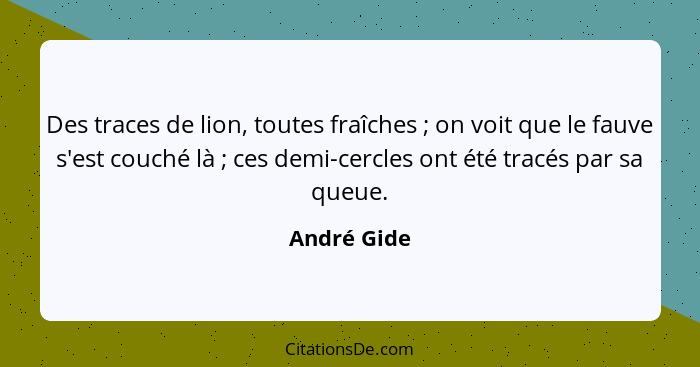 Des traces de lion, toutes fraîches ; on voit que le fauve s'est couché là ; ces demi-cercles ont été tracés par sa queue.... - André Gide