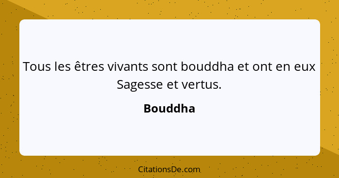 Tous les êtres vivants sont bouddha et ont en eux Sagesse et vertus.... - Bouddha