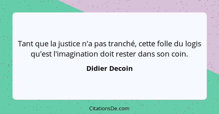 Tant que la justice n'a pas tranché, cette folle du logis qu'est l'imagination doit rester dans son coin.... - Didier Decoin