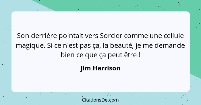 Son derrière pointait vers Sorcier comme une cellule magique. Si ce n'est pas ça, la beauté, je me demande bien ce que ça peut être&nbs... - Jim Harrison