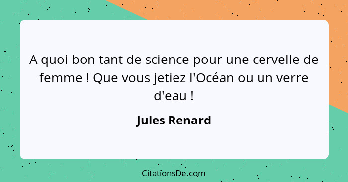 A quoi bon tant de science pour une cervelle de femme ! Que vous jetiez l'Océan ou un verre d'eau !... - Jules Renard