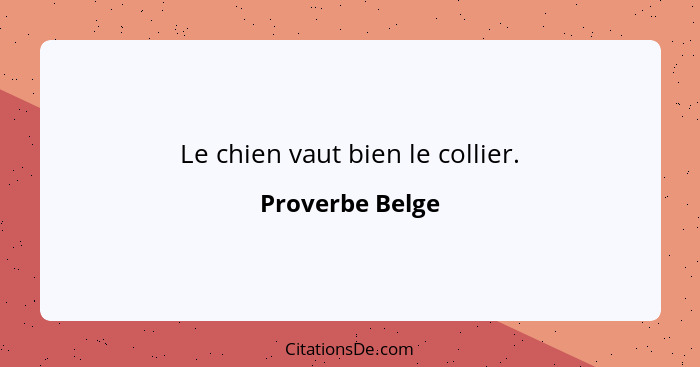 Le chien vaut bien le collier.... - Proverbe Belge