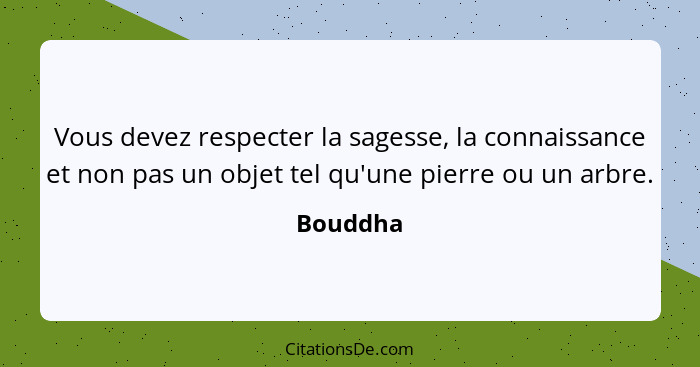 Vous devez respecter la sagesse, la connaissance et non pas un objet tel qu'une pierre ou un arbre.... - Bouddha