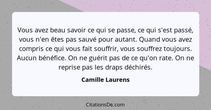 Vous avez beau savoir ce qui se passe, ce qui s'est passé, vous n'en êtes pas sauvé pour autant. Quand vous avez compris ce qui vous... - Camille Laurens