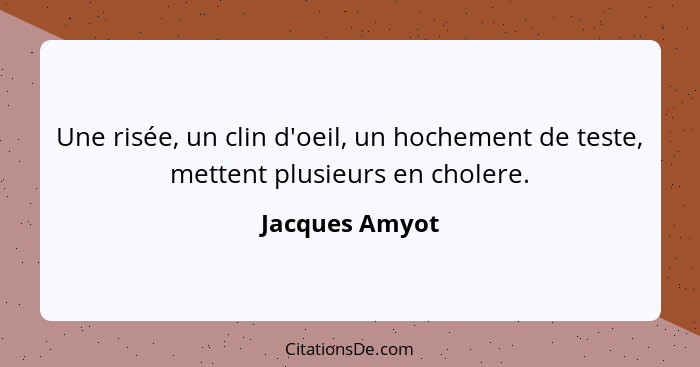 Une risée, un clin d'oeil, un hochement de teste, mettent plusieurs en cholere.... - Jacques Amyot