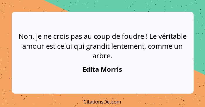 Non, je ne crois pas au coup de foudre ! Le véritable amour est celui qui grandit lentement, comme un arbre.... - Edita Morris