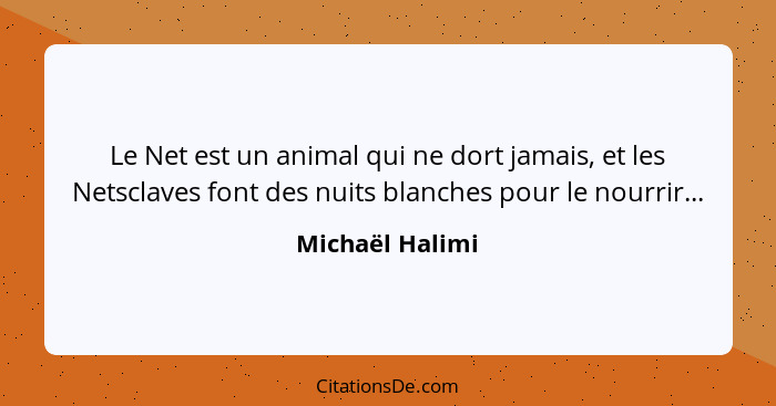 Le Net est un animal qui ne dort jamais, et les Netsclaves font des nuits blanches pour le nourrir...... - Michaël Halimi