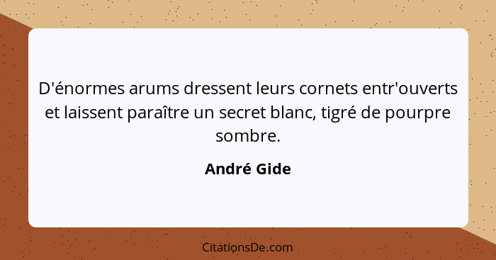 D'énormes arums dressent leurs cornets entr'ouverts et laissent paraître un secret blanc, tigré de pourpre sombre.... - André Gide