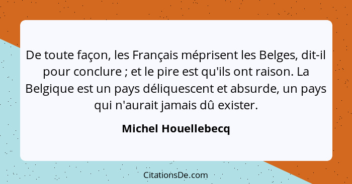 De toute façon, les Français méprisent les Belges, dit-il pour conclure ; et le pire est qu'ils ont raison. La Belgique est... - Michel Houellebecq