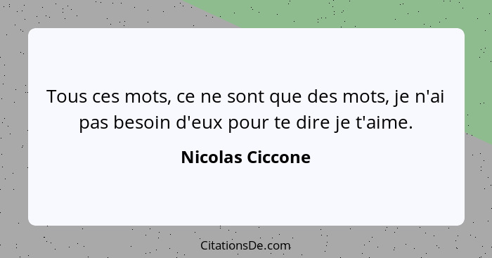 Tous ces mots, ce ne sont que des mots, je n'ai pas besoin d'eux pour te dire je t'aime.... - Nicolas Ciccone