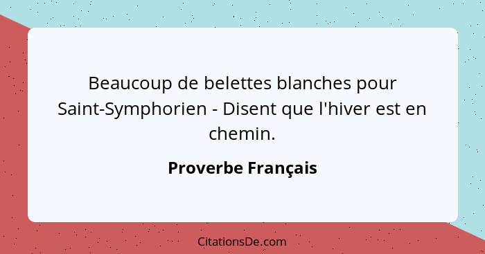 Beaucoup de belettes blanches pour Saint-Symphorien - Disent que l'hiver est en chemin.... - Proverbe Français