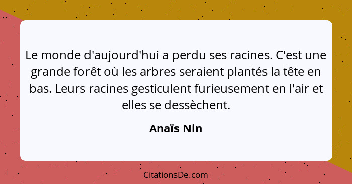 Le monde d'aujourd'hui a perdu ses racines. C'est une grande forêt où les arbres seraient plantés la tête en bas. Leurs racines gesticulen... - Anaïs Nin