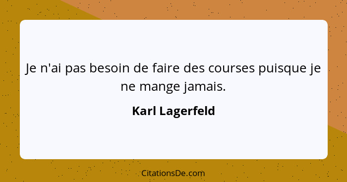 Je n'ai pas besoin de faire des courses puisque je ne mange jamais.... - Karl Lagerfeld