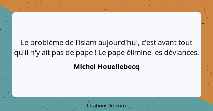 Le problème de l'islam aujourd'hui, c'est avant tout qu'il n'y ait pas de pape ! Le pape élimine les déviances.... - Michel Houellebecq