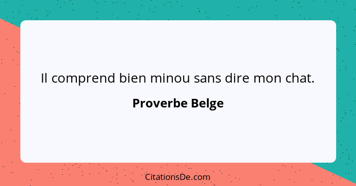 Il comprend bien minou sans dire mon chat.... - Proverbe Belge