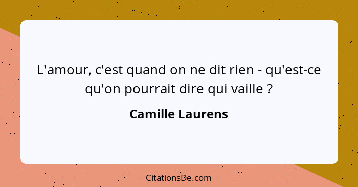 L'amour, c'est quand on ne dit rien - qu'est-ce qu'on pourrait dire qui vaille ?... - Camille Laurens