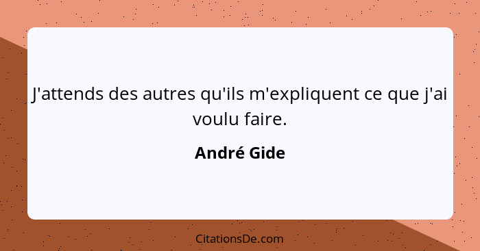 J'attends des autres qu'ils m'expliquent ce que j'ai voulu faire.... - André Gide