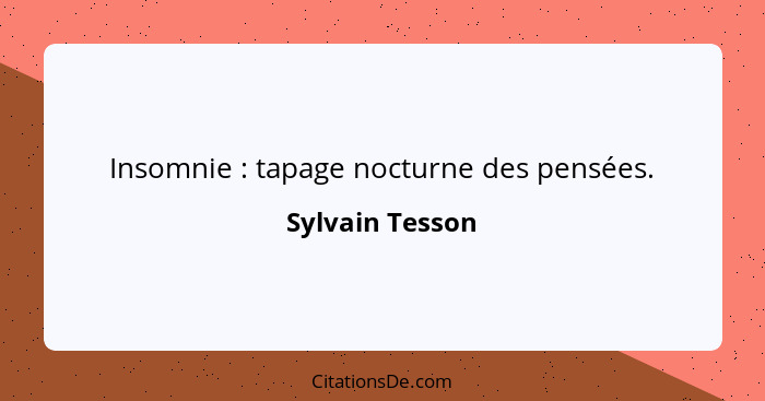 Insomnie : tapage nocturne des pensées.... - Sylvain Tesson