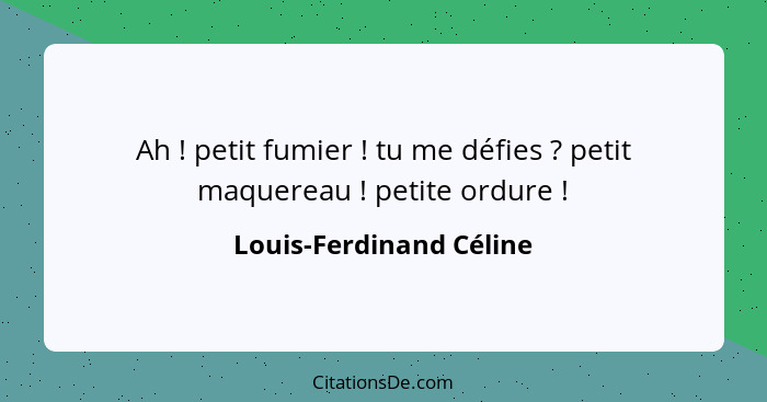 Ah ! petit fumier ! tu me défies ? petit maquereau ! petite ordure !... - Louis-Ferdinand Céline