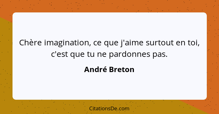 Chère imagination, ce que j'aime surtout en toi, c'est que tu ne pardonnes pas.... - André Breton