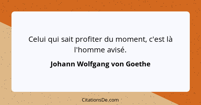 Celui qui sait profiter du moment, c'est là l'homme avisé.... - Johann Wolfgang von Goethe