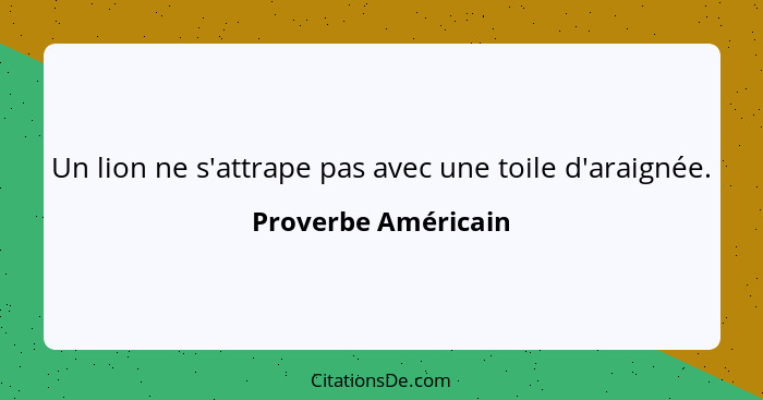 Un lion ne s'attrape pas avec une toile d'araignée.... - Proverbe Américain