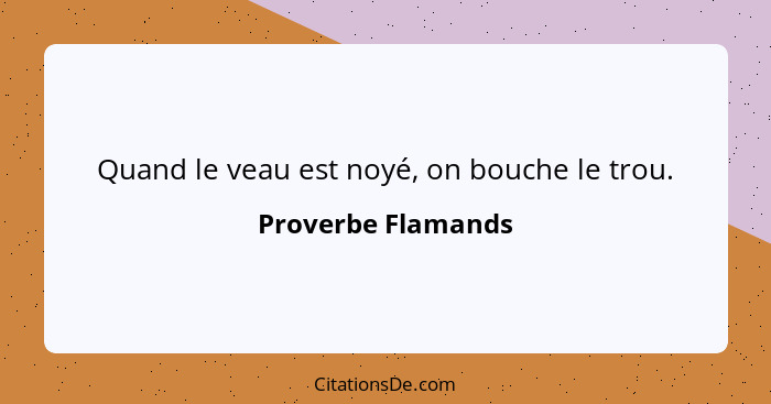 Quand le veau est noyé, on bouche le trou.... - Proverbe Flamands